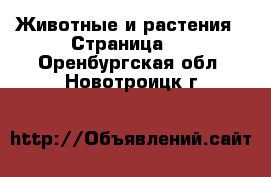  Животные и растения - Страница 5 . Оренбургская обл.,Новотроицк г.